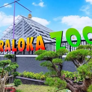 Catering Nasi Box Suraloka Zoo