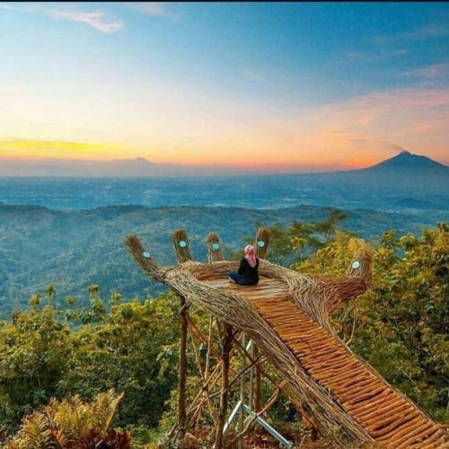 Wisata Hutan Pinus Pengger