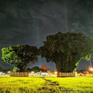 alun alun kidul jogja